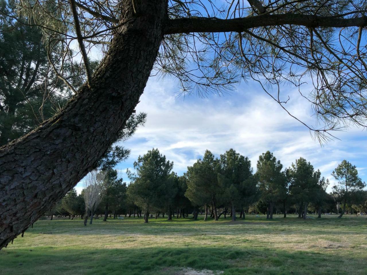 Hotel Alda גיחואלו מראה חיצוני תמונה